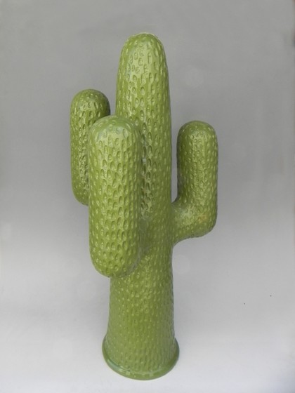 Catus Texas City